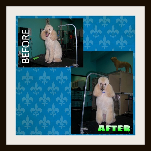 Before & After 10