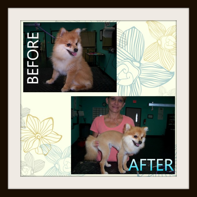 Before & After 6