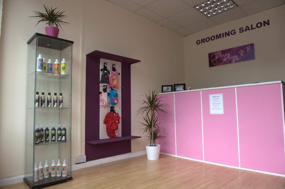 dog grooming parlour
