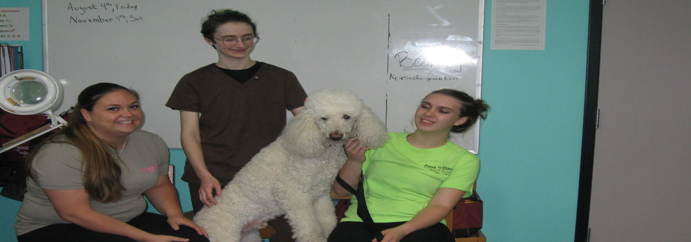 Three students and dog